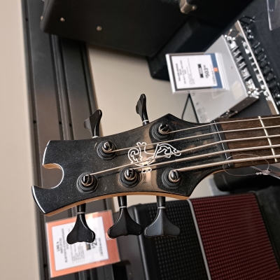 Toby Deluxe V 5 string Bass 3